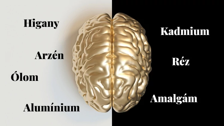 Nehézfémek hatása az idegrendszerre