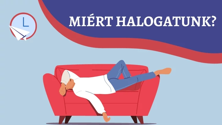 Miért halogatunk? Ismerd meg okait és ezek megoldásait!